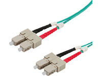 ROLINE LWL Cable 50/125µm OM3 SC/SC 1m InfiniBand/fibre optic cable Gr
