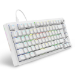 Sharkoon SGK25 keyboard Home USB QWERTZ German White