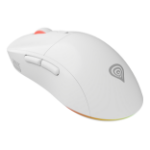 GENESIS Zircon XIII mouse Gaming Ambidextrous RF Wireless + USB Type-C Optical 26000 DPI