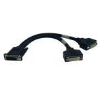 Tripp Lite P576-001 video cable adapter 11.8" (0.3 m) DMS 2 x DVI Black
