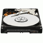 Western Digital Scorpio Blue 1TB interne harde schijf 8 MB 2.5" SATA