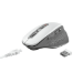 Trust Ozaa mouse Office Right-hand RF Wireless Optical 2400 DPI