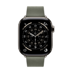 Apple 42mm Sage Grey Modern Buckle - Large