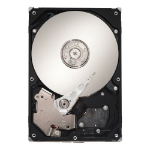 Seagate Cheetah 15K.6 300-GB 300 GB SAS