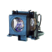 Diamond Lamps LMP107-DL projector lamp
