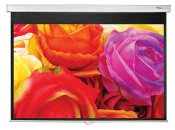 Image of Optoma DS-1123PMG+ projection screen 3.12 m (123") 16:10