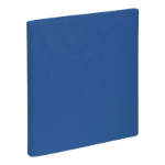 Pagna 44096-02 ring binder A4 Blue