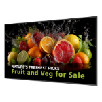 Philips 5000 series 86BDL5050D/00 Signage Display 2.18 m (86") LCD Wi-Fi 600 cd/m² Full HD Black Built-in processor Android