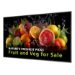 Philips 5000 series 65BDL5050D/00 Signage Display 165.1 cm (65") LCD Wi-Fi 600 cd/m² Full HD Black Built-in processor Android
