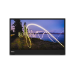 Lenovo ThinkVision M15 computer monitor 39.6 cm (15.6") 1920 x 1080 pixels Full HD LED Black