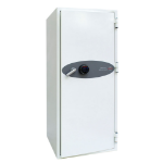 Phoenix Safe Co. DS4622F safe 228 L Steel White