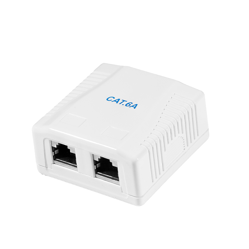 LogiLink Cat.6A Surface Mounted Box 2 x RJ45, shielded