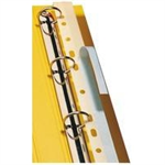 PELLTECH FILE STRIPS 295MM A4 PK100