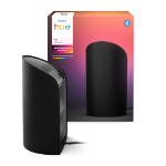Philips Hue Flare black EU/UK