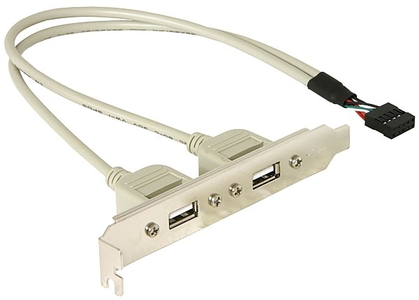 Photos - Cable (video, audio, USB) Delock Slotbracket 1x internal USB 5pin > 2x USB2.0 external 71000 