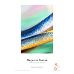 DPSB Hahnemuhle Daguerre Canvas 400gsm 17" x 12m Roll