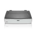 Epson Expression 12000XL Flatbed scanner 2400 x 4800 DPI A3 Grey, White