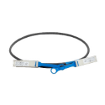 Intel 100FRRA0100 InfiniBand/fibre optic cable 10 m QSFP28 Black