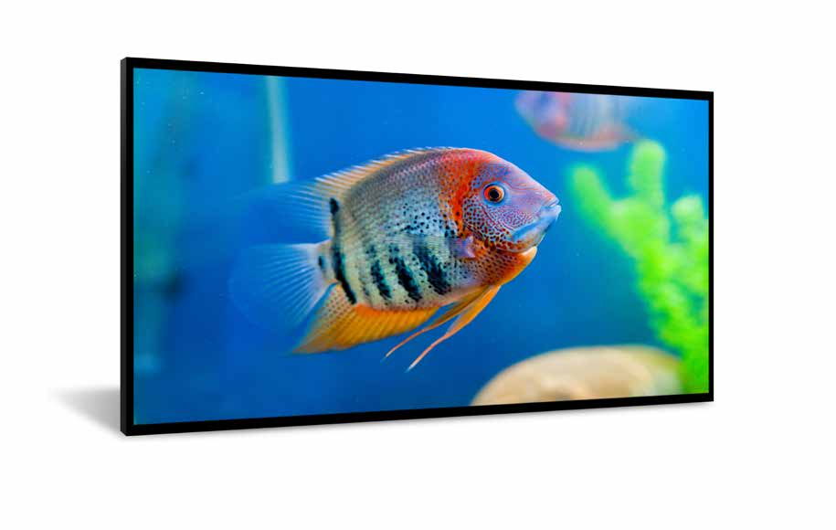 Image of DynaScan DI551ST2 Signage Display Digital signage flat panel 138.8...