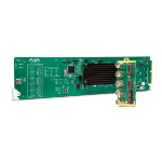 AJA OG-HA5-4K modular signal processing module