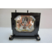 Diamond Lamps Lamp for SONY VPL VW40:VPL VW50:VPL VW60 Projector