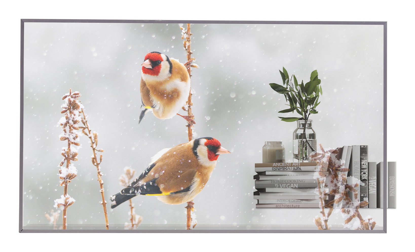 LG 55EW5P-M 139.7 cm (55") OLED 600 cd/m² Full HD Silver Touchscr