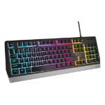 GENESIS Rhod 300 RGB keyboard Gaming USB QWERTY English Black