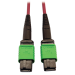 Tripp Lite N846D-01M-16AMG InfiniBand/fibre optic cable 39.4" (1 m) MTP OFNP Magenta