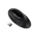 Kensington K75404EU mouse RF Wireless+Bluetooth 1600 DPI Right-hand