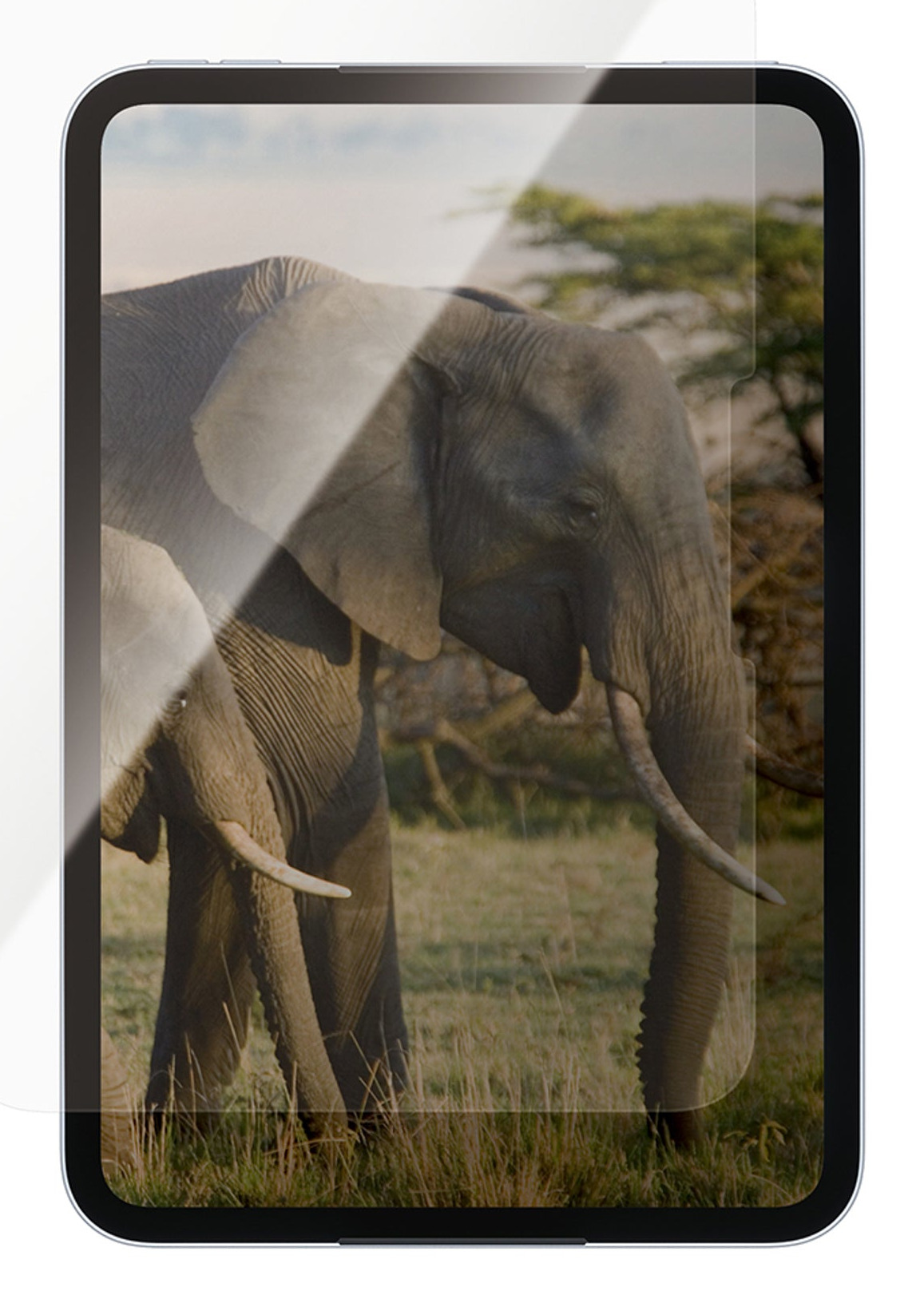 Image of PanzerGlass PG20939 tablet screen protector Clear screen protector App