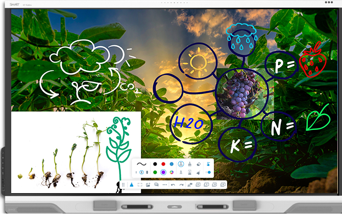 SMART Technologies RX265-5A interactive whiteboard 165.1 cm (65&quot;)