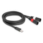 DeLOCK 88173 audio kabel 2 m RJ-45 2 x XLR (3-pin) Zwart