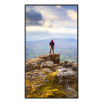 Sharp PN-E439 Digital signage flat panel 109.2 cm (43") LCD 350 cd/m² 4K Ultra HD Black 16/7