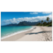 Sharp 55 Ultra-Narrow Bezel Professional-Grade Display LCD Indoor