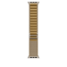 Apple 49mm Tan Alpine Loop - Large - Natural Titanium Finish