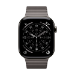 Apple 46mm Slate Link Bracelet