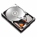 Western Digital Ultrastar 146Z10 internal hard drive 73 GB 10000 RPM 8 MB 3.5" Ultra320 SCSI