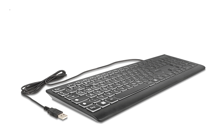 DeLOCK 12170 keyboard Universal USB QWERTZ German Black