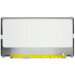 CoreParts MSC133F30-111M laptop spare part Display