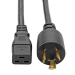 Tripp Lite P040-010 power cable Black 120.1" (3.05 m) C19 coupler NEMA L6-20P