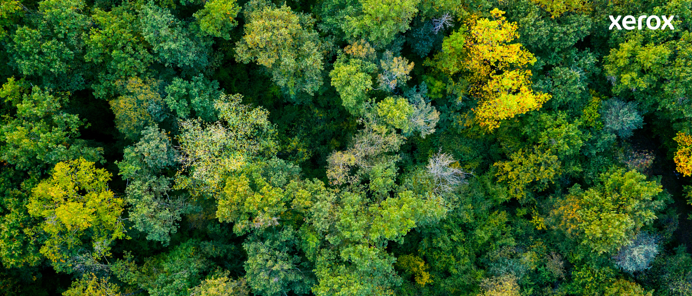 Xerox 006R04376 Toner-kit, 3K pages ISO/IEC 19752 for Xerox B 310