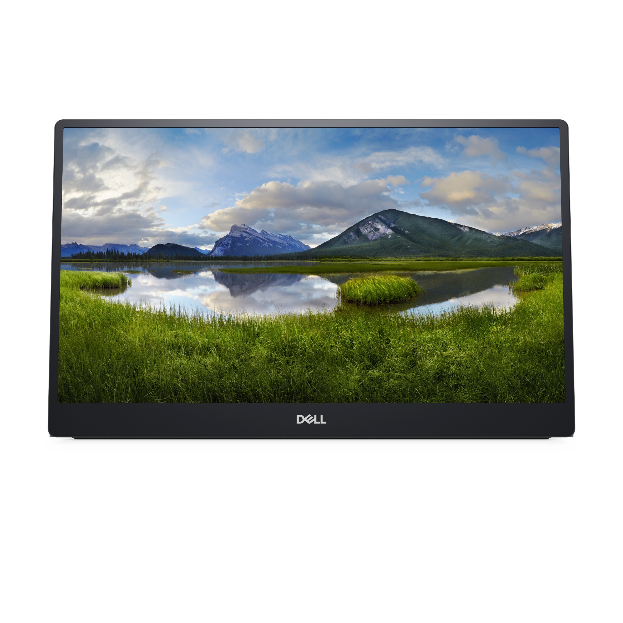 DELL P Series P1424H computer monitor 35.6 cm (14") 1920 x 1080 p