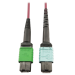 Tripp Lite N846D-03M-16CMG InfiniBand/fibre optic cable 118.1" (3 m) MTP OFNP Magenta
