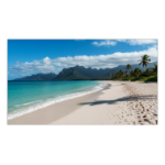 Sharp PN-UN553V LCD Indoor