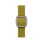 Apple 42mm Chartreuse Modern Buckle - Large