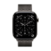 Apple MGJ74ZM/A smart wearable accessory Band Slate colour Stainless steel