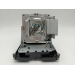 Diamond Lamps Lamp for OPTOMA DH1017:EH500:X600:DH1014 Projector