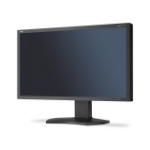 NEC MultiSync PA322UHD-2 SV2 80 cm (31.5") 3840 x 2160 pixels 4K Ultra HD LCD Black