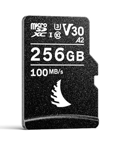 Photos - Memory Card ANGELBIRD Technologies AV PRO microSD V30 256 GB MicroSDXC UHS-I Class AVP 