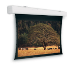 Da-Lite Tensioned Elpro Large Electrol, 244 x 390 cm with Matte White (tensioned) - 10102689